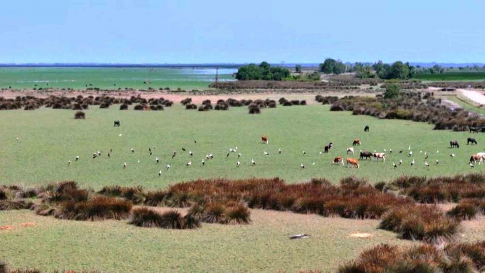 Samsun’daki Tabiat Parklarını Bu Yıl 151 Binden Fazla Kişi Gezdi
