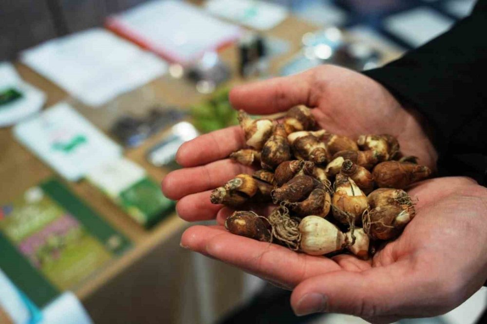 Tıbbi Ve Aromatik Bitki Üretiminden 1,2 Milyon Tl Gelir