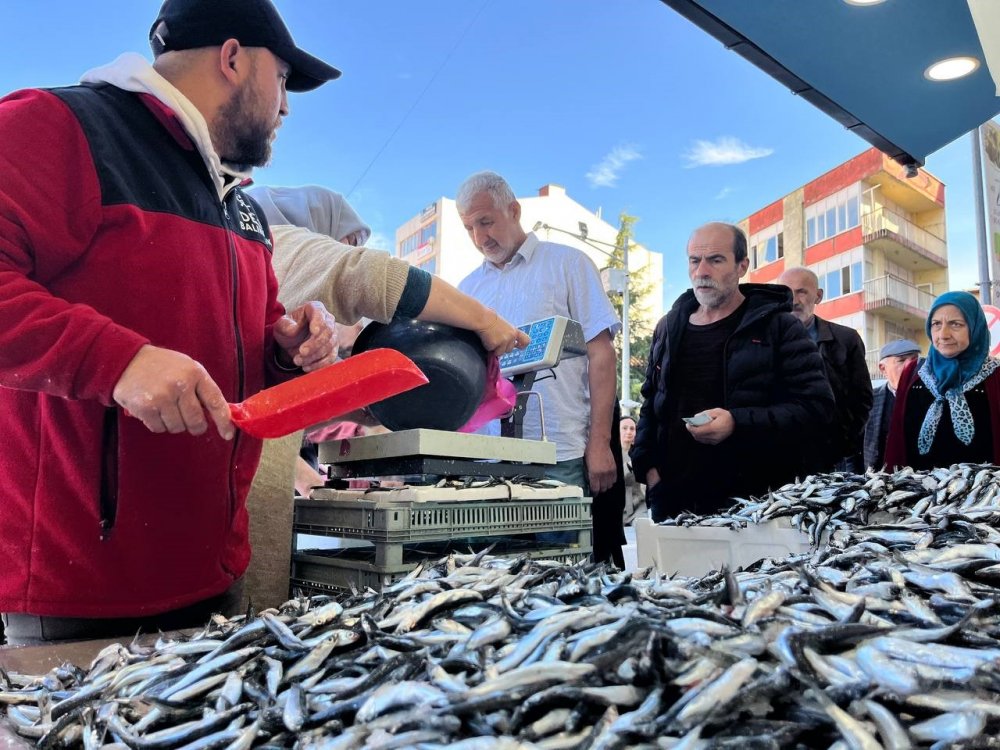 Ordu’da Hamsi 25 Liraya Düştü, Vatandaş Sıraya Girdi