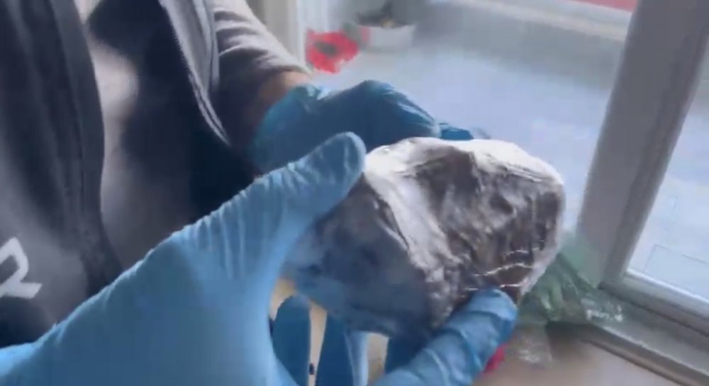 Oyuncak Ayı İçine Gizlenen Kokain Ele Geçirildi: 1 Gözaltı