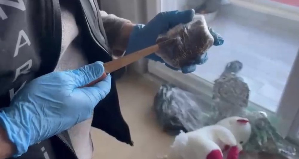 Oyuncak Ayı İçine Gizlenen Kokain Ele Geçirildi: 1 Gözaltı