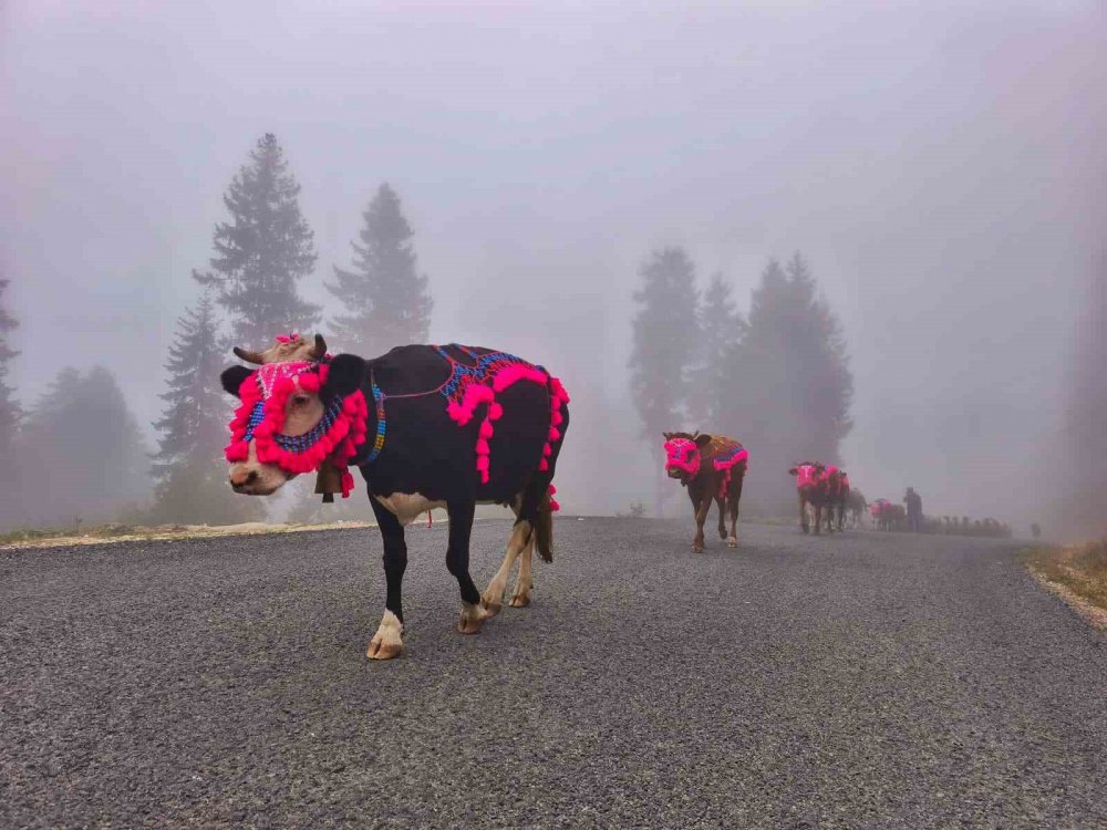 Doğu Karadeniz’de Yaylalardan Dönüşler Hızlandı