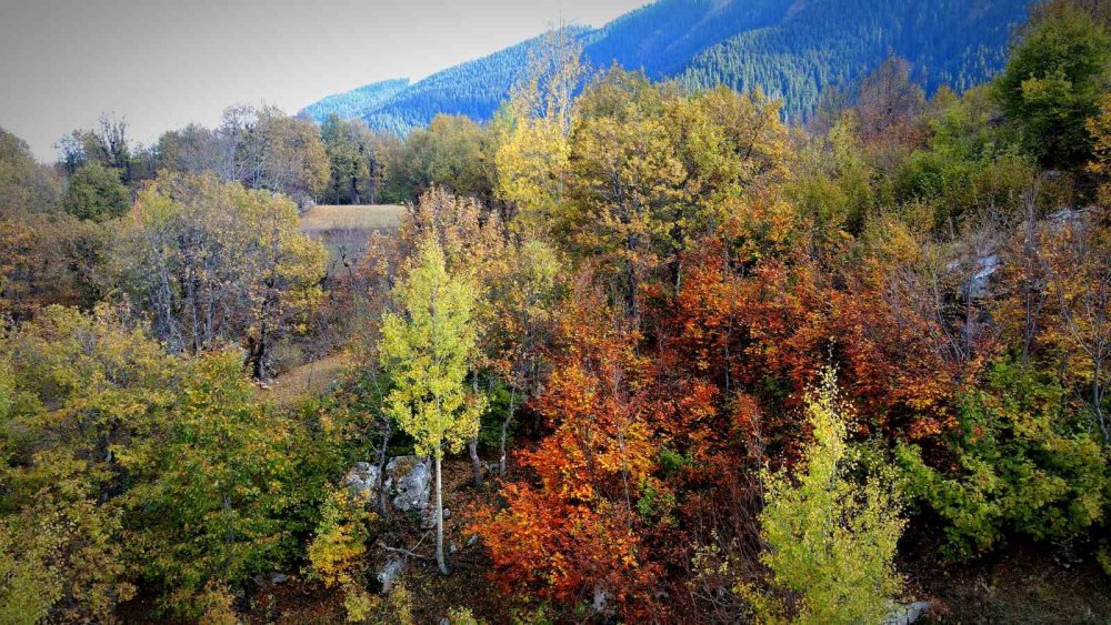 Şavşat’ın Seyrine Doyum Olmayan Sonbahar Güzelliği