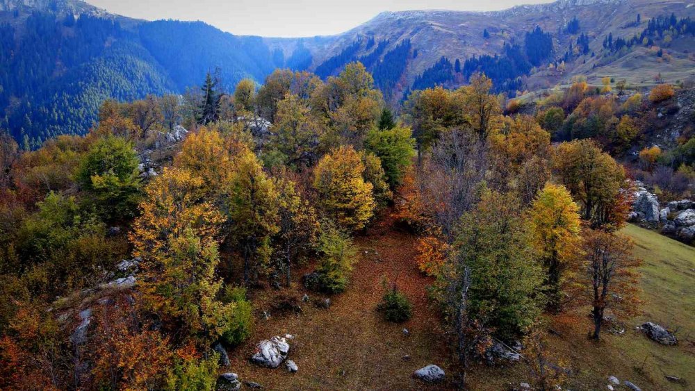 Şavşat’ın Seyrine Doyum Olmayan Sonbahar Güzelliği