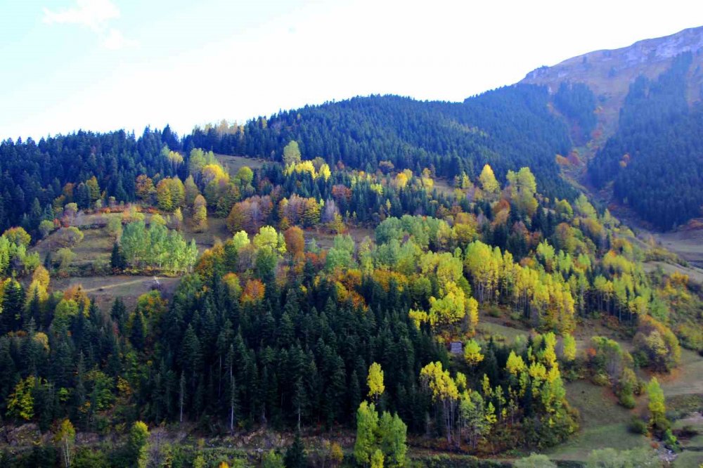 Şavşat’ın Seyrine Doyum Olmayan Sonbahar Güzelliği