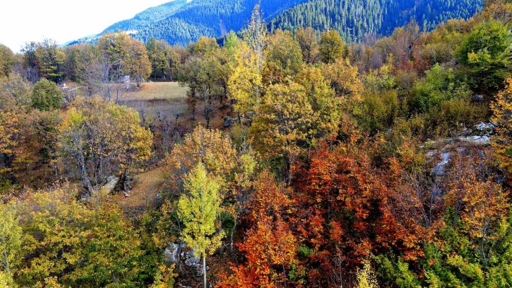 Şavşat’ın Seyrine Doyum Olmayan Sonbahar Güzelliği