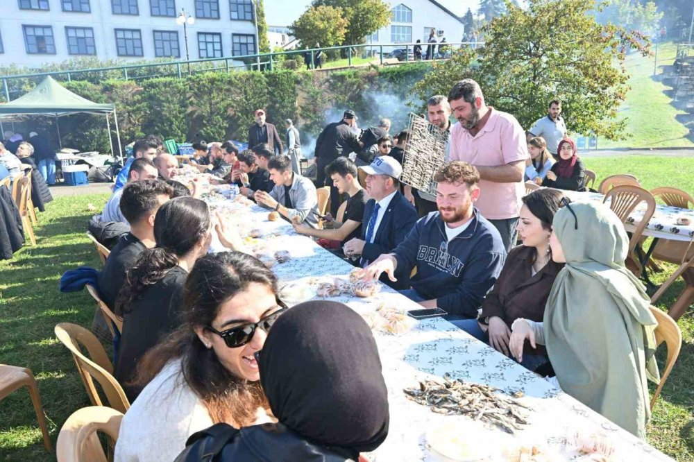 2 Saatte 3 Ton Hamsi Yediler