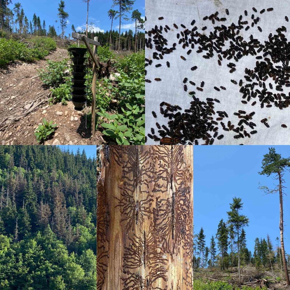 Atatürk Üniversitesinden İki Uluslararası Projeye Tübitak’tan 37 Milyon Destek