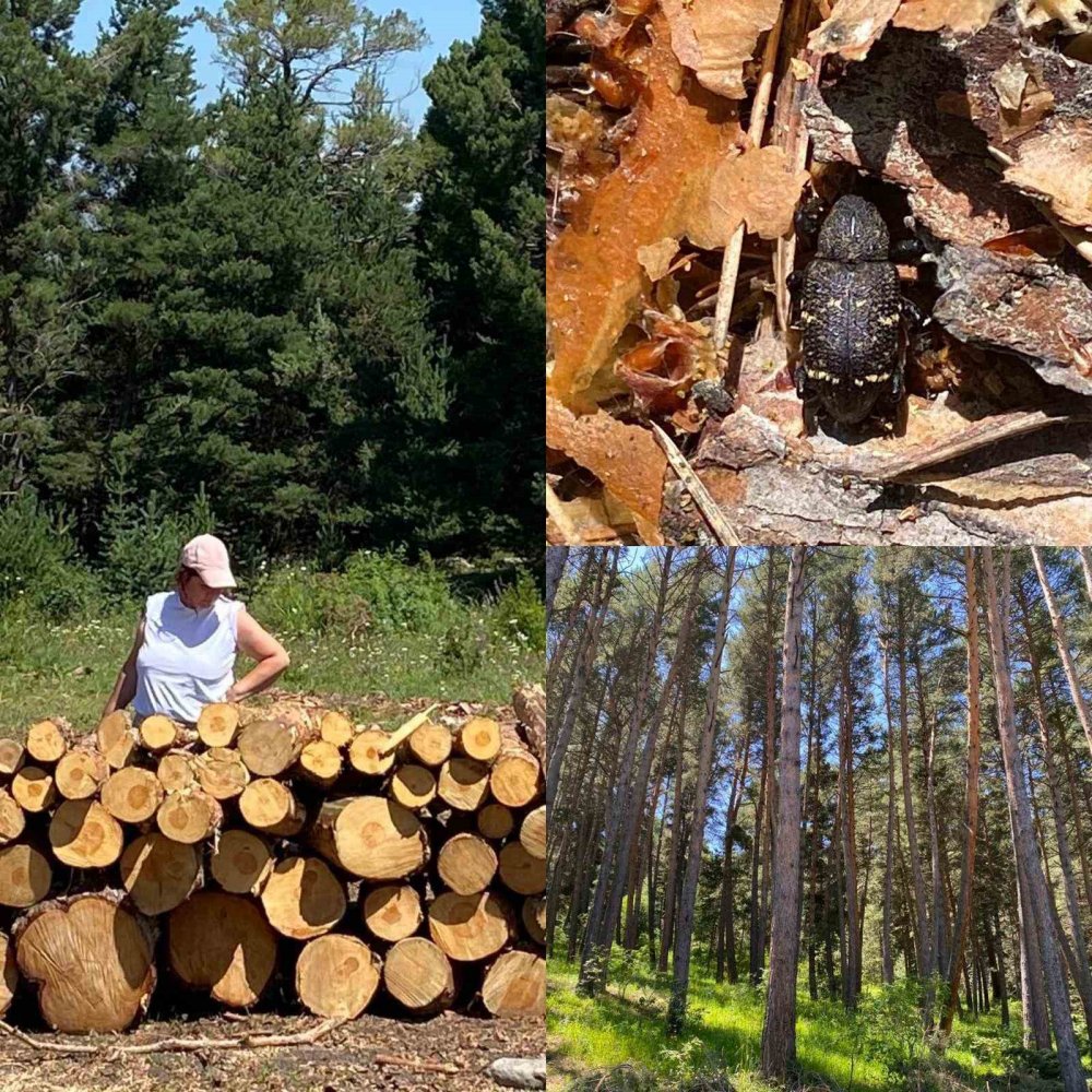 Atatürk Üniversitesinden İki Uluslararası Projeye Tübitak’tan 37 Milyon Destek