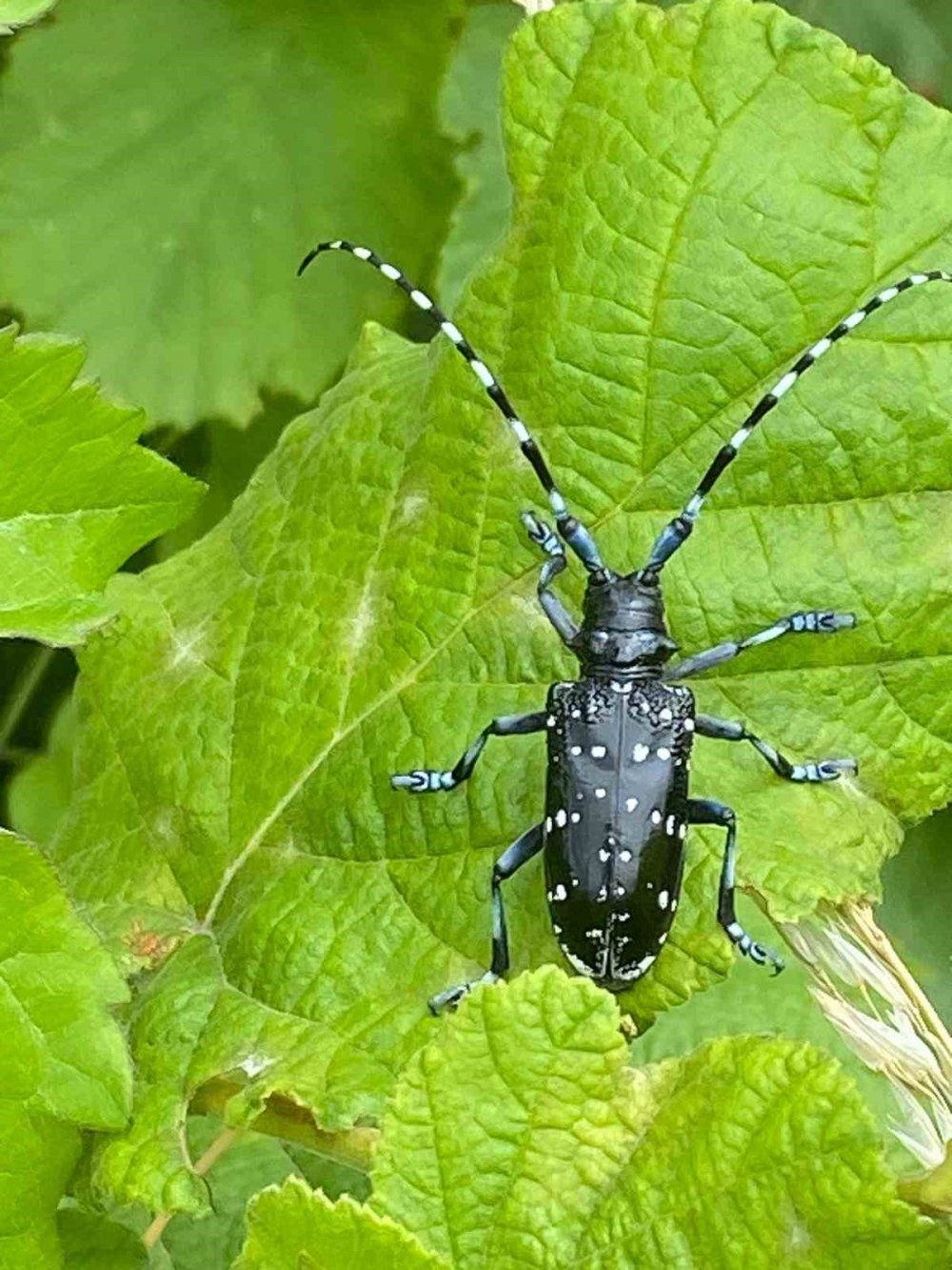 Atatürk Üniversitesinden İki Uluslararası Projeye Tübitak’tan 37 Milyon Destek