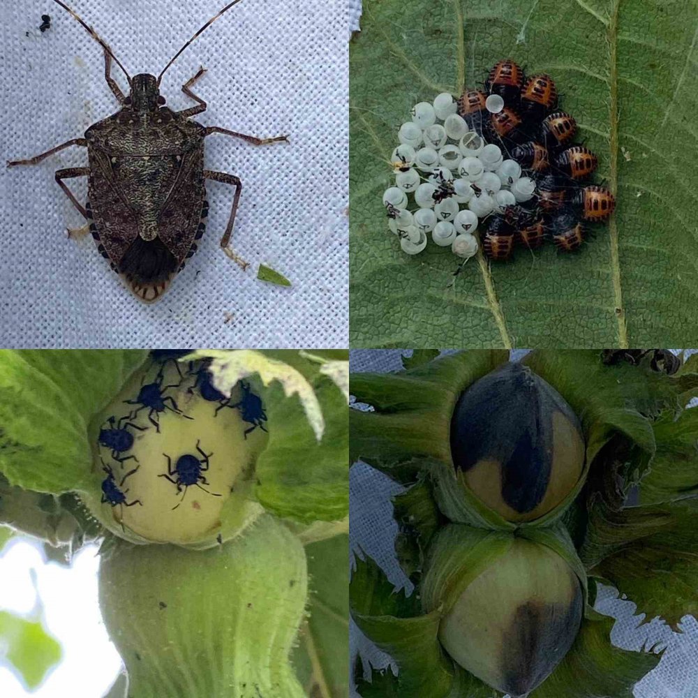 Atatürk Üniversitesinden İki Uluslararası Projeye Tübitak’tan 37 Milyon Destek