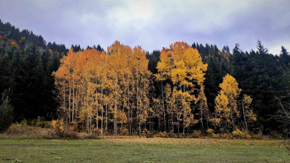 Şavşat’tan Kartpostallık Manzaralar