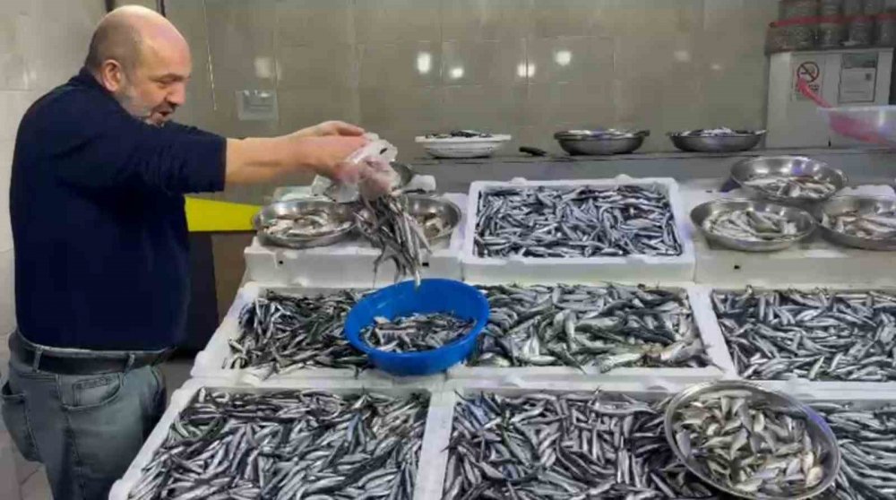 Rize’de Hamsi Bolluğu: Tezgahlarda Kilo Fiyatı 50 TL’ye Düştü