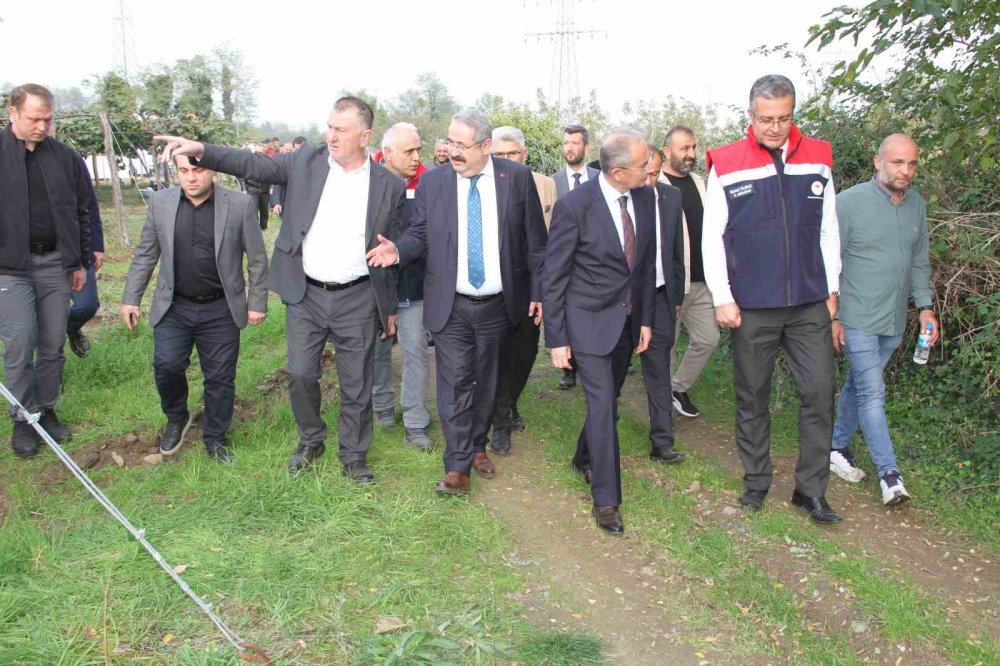 Samsun’da ‘2025 Yılı Kivi Hasat Etkinliği’