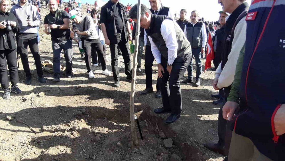 Bolu’da Yanan Orman Yeniden Yeşeriyor