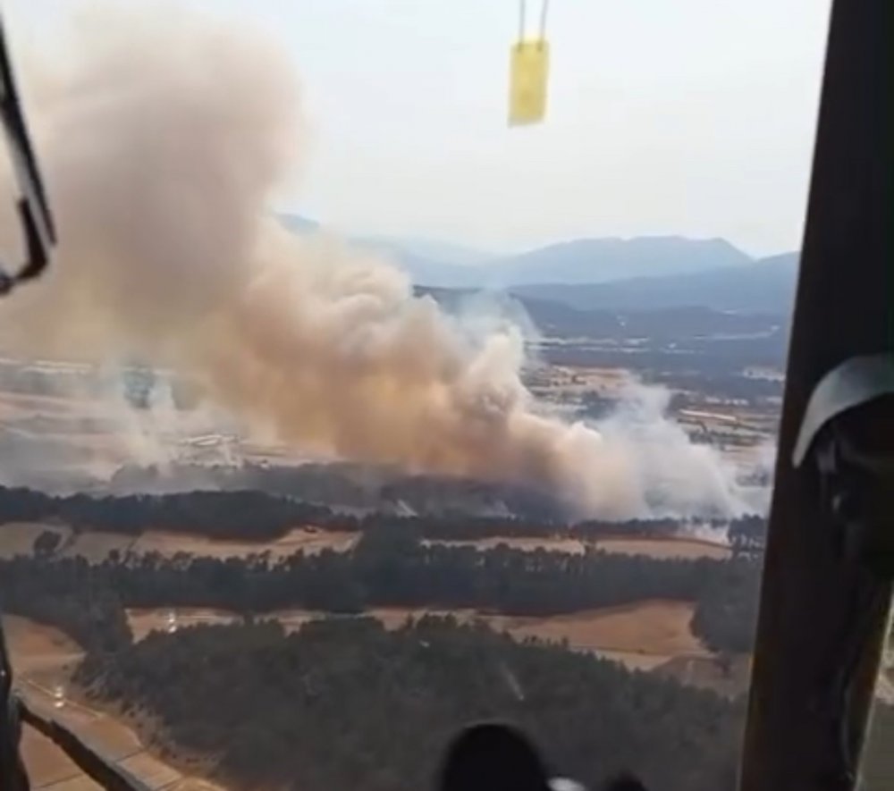 Bolu’da Yanan Orman Yeniden Yeşeriyor