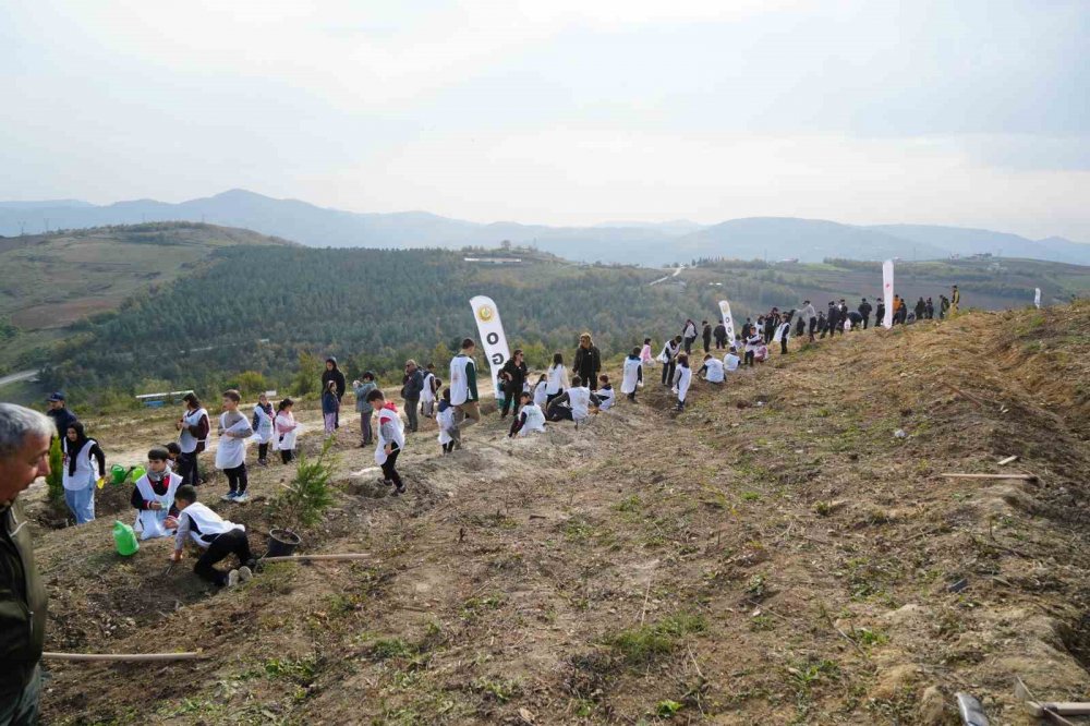 Samsun’da Milli Ağaçlandırma Günü: 37 Bin 380 Adet Fidan Toprakla Buluştu