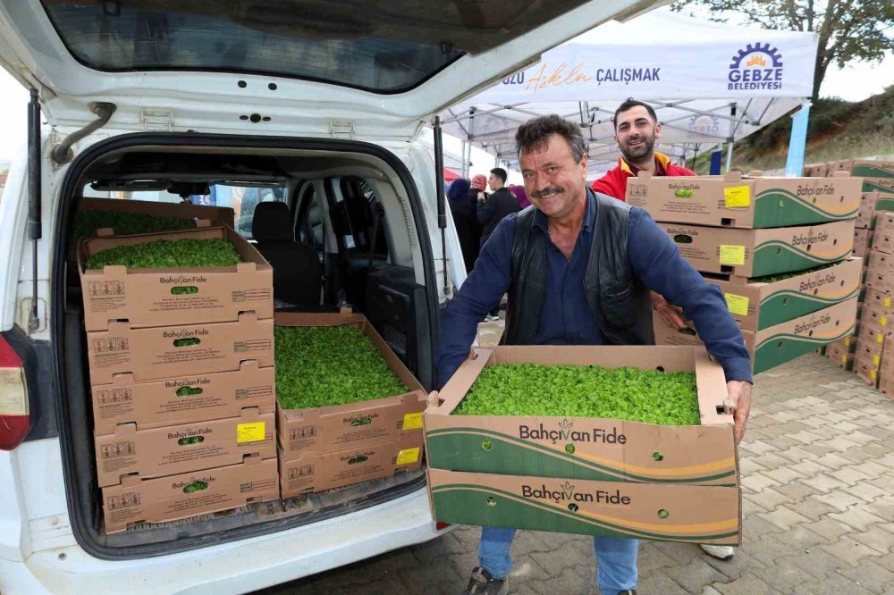 Gebzeli Çiftçiye 500 Bin Sebze Fidesi