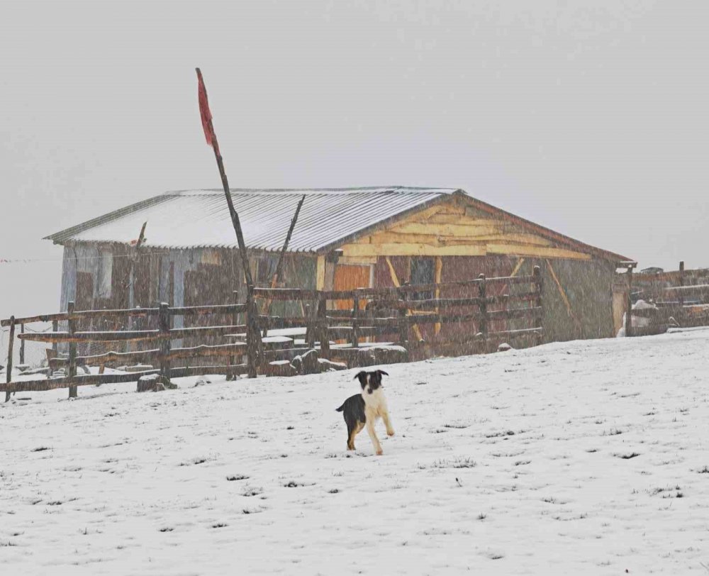 Ordu’nun Yükseklerinde Kar Yağışı