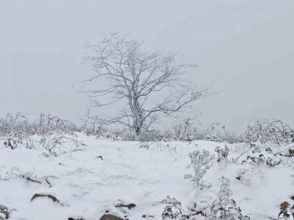 Ordu’nun Yükseklerinde Kar Yağışı