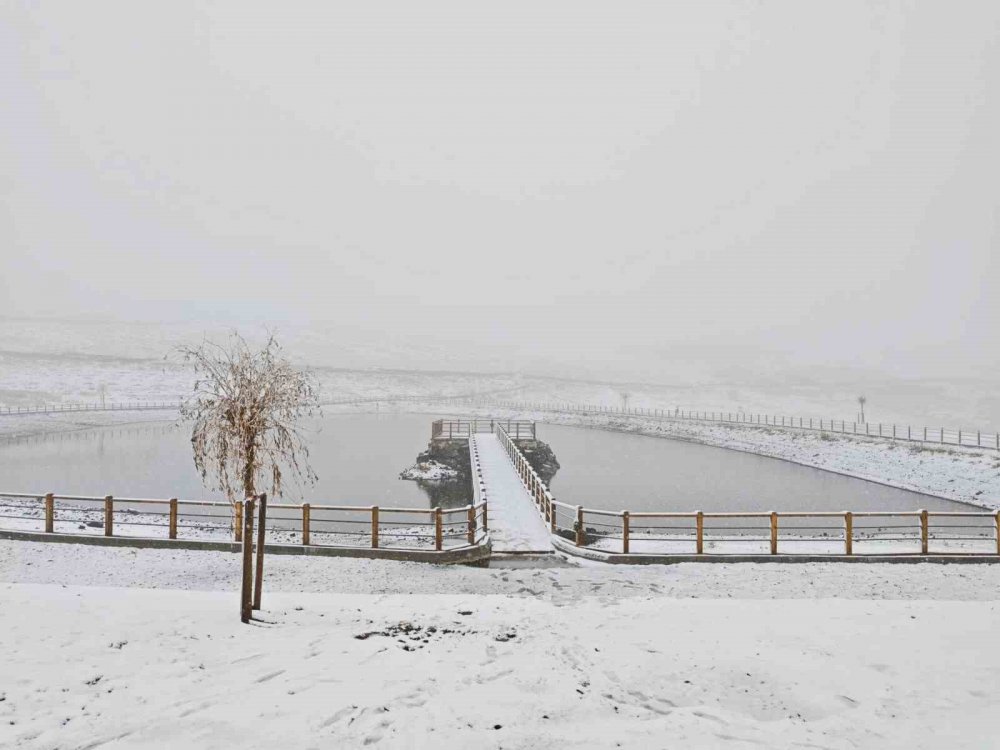 Ordu’nun Yükseklerinde Kar Yağışı