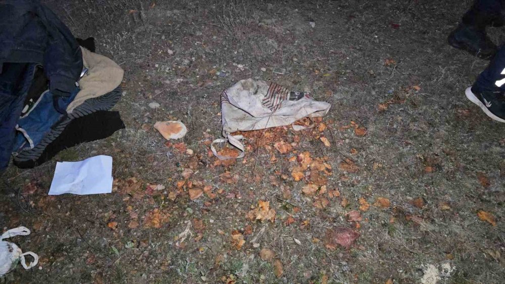 Mantar Toplama Dönüşü Feci Kaza: 2 Ölü, 7 Yaralı