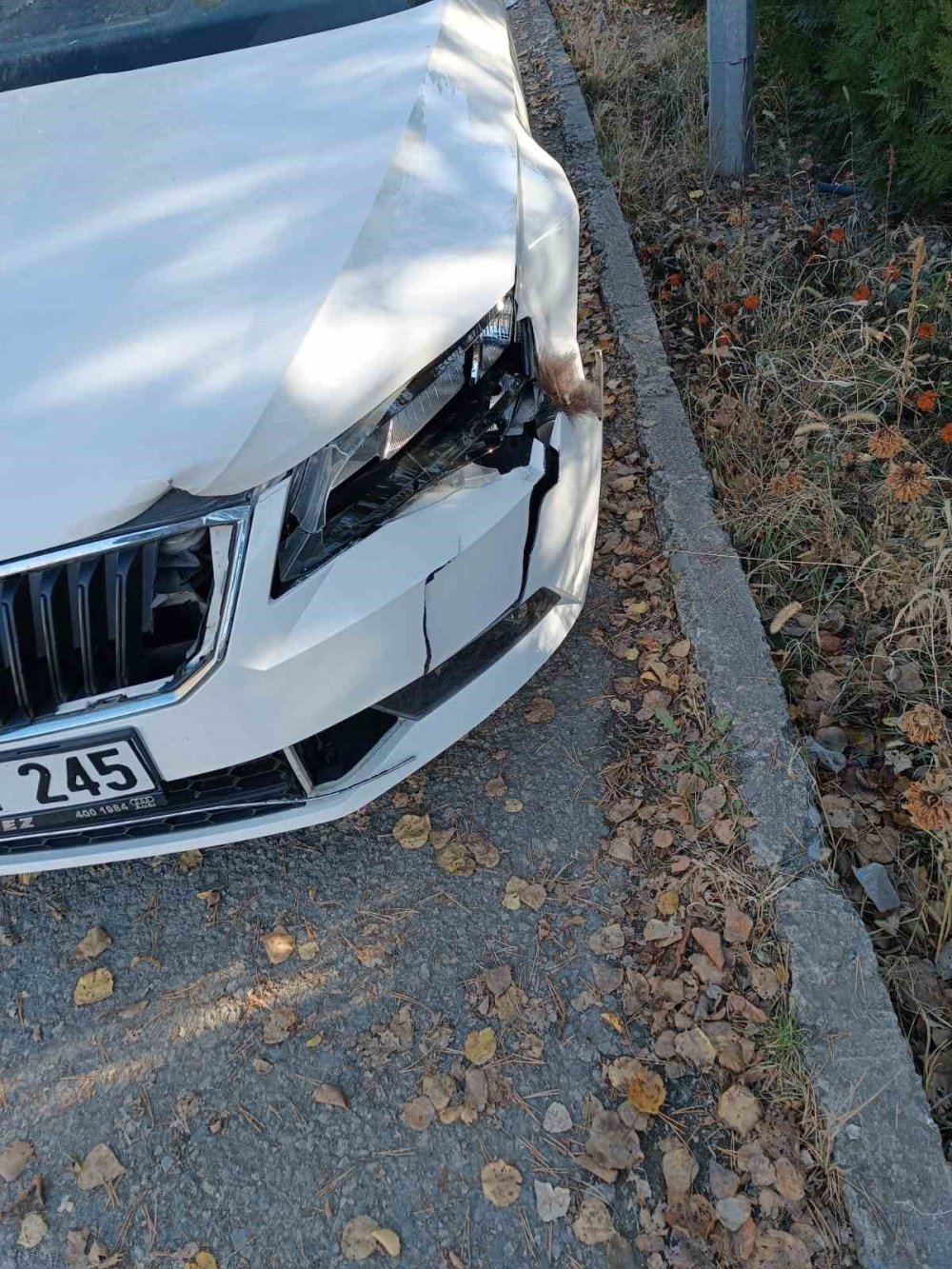 Otomobil Ayıya Çarptı