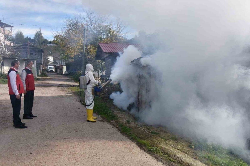 Ordu’da Kokarcaya Karşı 330 Bin Kışlak İlaçlanacak