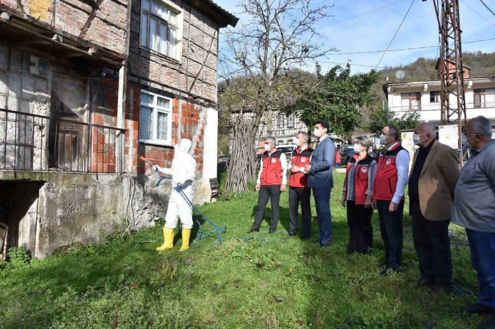 Ordu’da Kokarcaya Karşı 330 Bin Kışlak İlaçlanacak