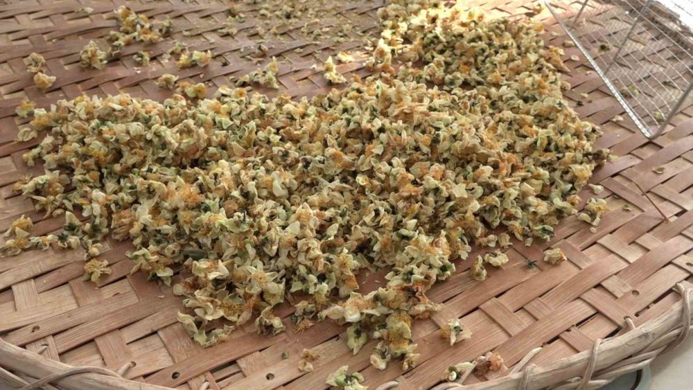 Doğu Karadeniz’de Çay Çiçeği Çayı İlgi Görüyor: Kilosu 6 Bin TL’den Satılıyor