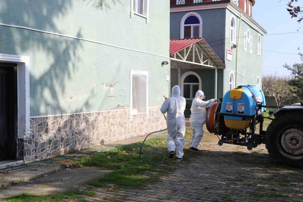 Kahverengi Kokarca İle Mücadele: 850 Hane, 23 Kamu Alanı Ve 623 Ahır İlaçlandı