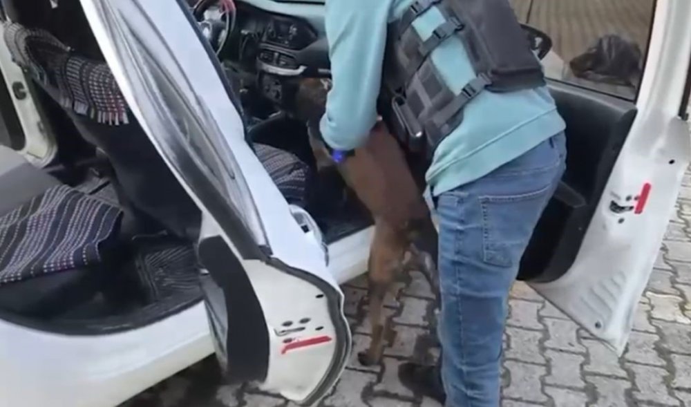 Sinop’ta Uyuşturucu Ağı Çökertildi: 7 Tutuklama