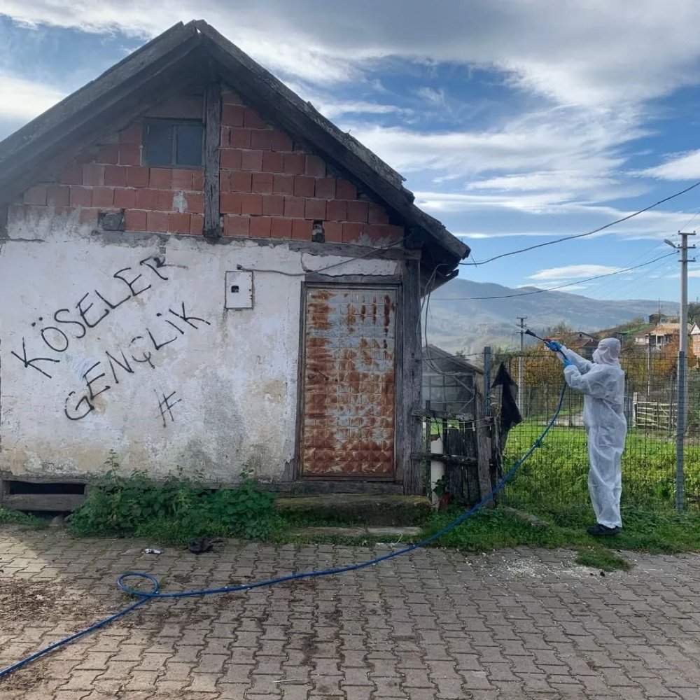 Yığılca’da Kahverengi Kokarca İle Kışlak Mücadelesi Devam Ediyor