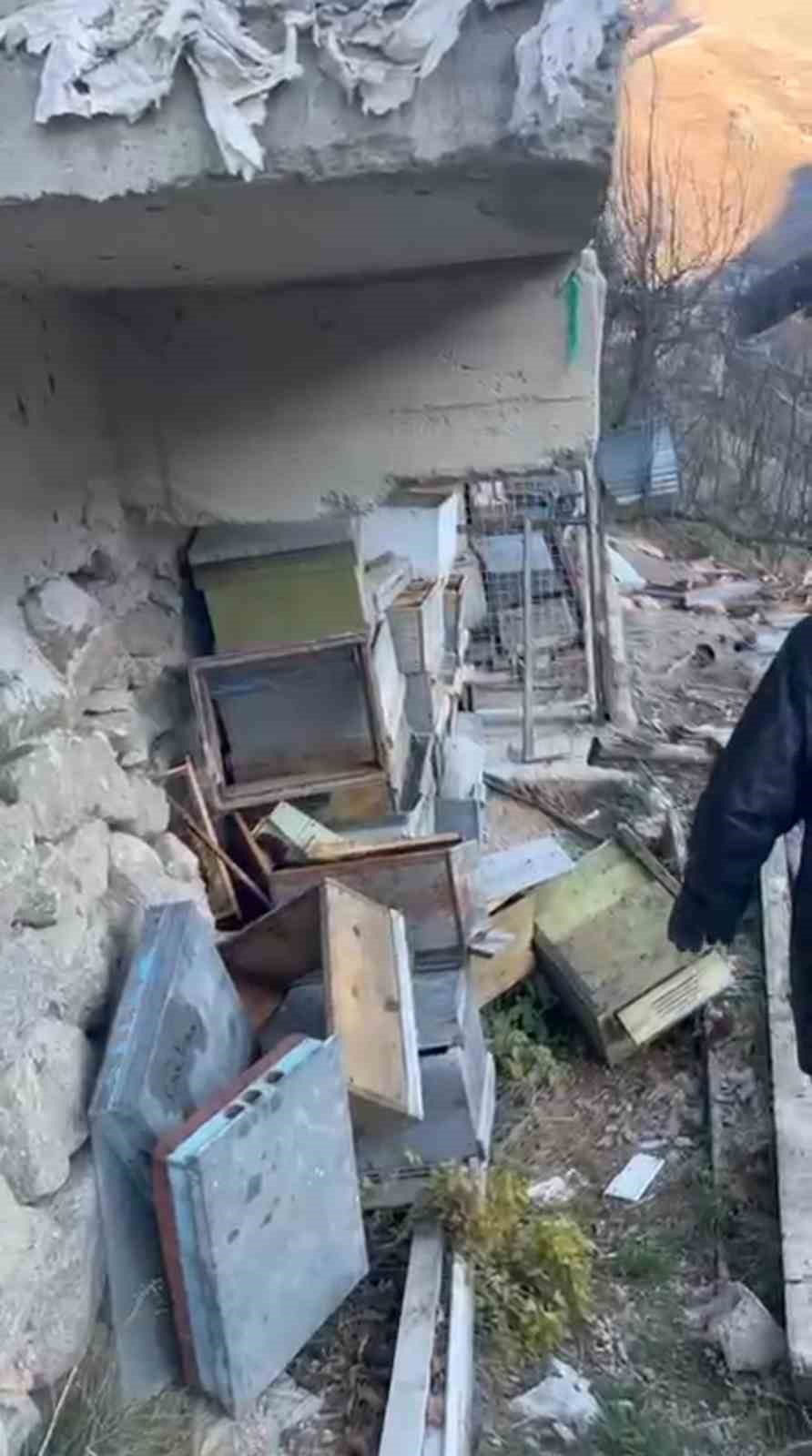 Anzer Yaylası’nda Ayı Arılığa Zarar Verdi: “Arıyı da Ayı Gibi Koruma Altına Alın”