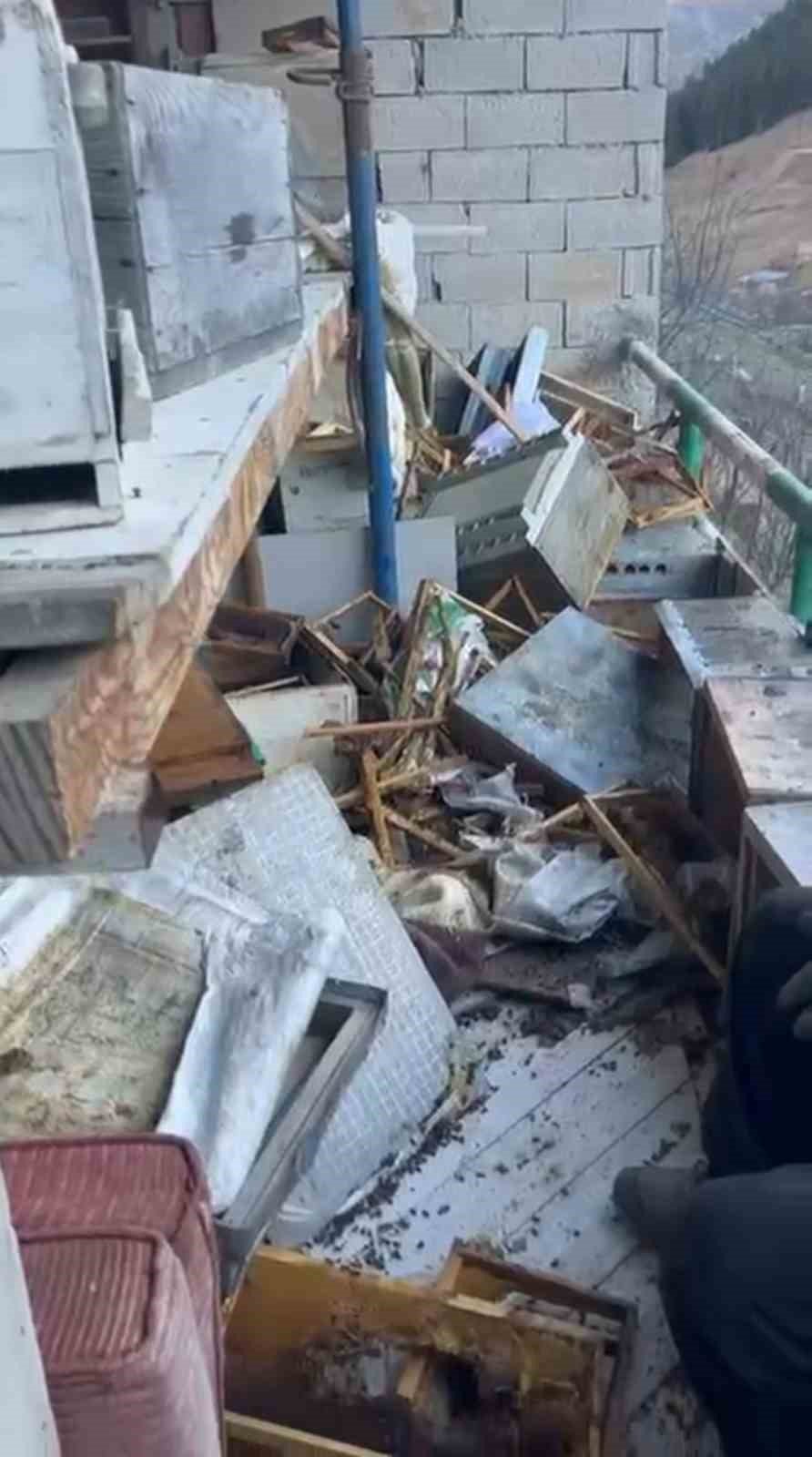 Anzer Yaylası’nda Ayı Arılığa Zarar Verdi: “Arıyı da Ayı Gibi Koruma Altına Alın”