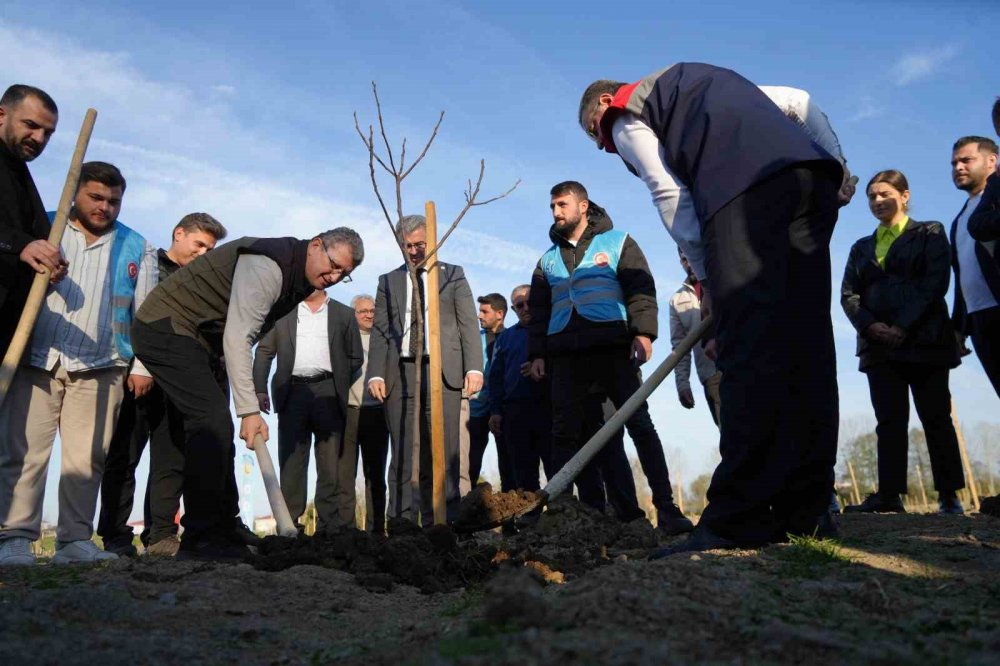 Karadeniz’in En Büyük İncir Projesi: 50 Milyon Tl Gelir Kız Çocuklarına Verilecek