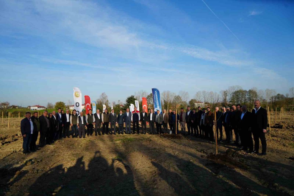 Karadeniz’in En Büyük İncir Projesi: 50 Milyon Tl Gelir Kız Çocuklarına Verilecek