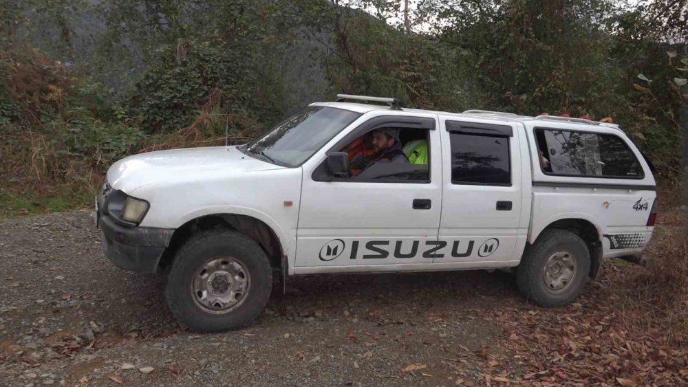 Doğu Karadeniz’de Ayı Popülasyonu Artınca Çiftçiler Av İzni Talep Etmeye Başladı