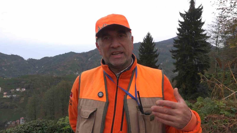 Doğu Karadeniz’de Ayı Popülasyonu Artınca Çiftçiler Av İzni Talep Etmeye Başladı