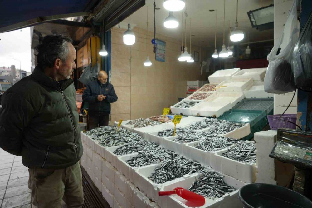 Hamsi Yeniden 200 TL’ye Yükseldi: Sezondaki Bolluk Yerini Azalmaya Bıraktı