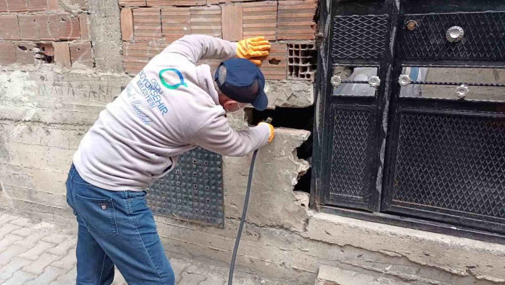 Ordu’da Haşerelere Karşı Kışlak Çalışması Başlatıldı