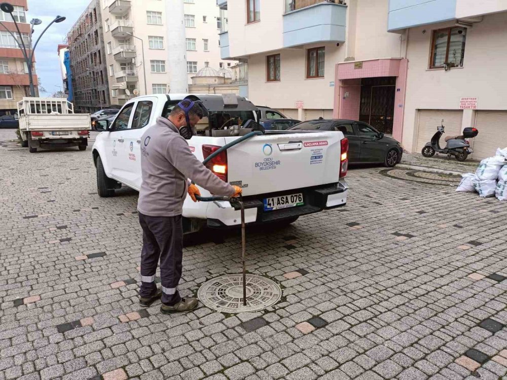 Ordu’da Haşerelere Karşı Kışlak Çalışması Başlatıldı