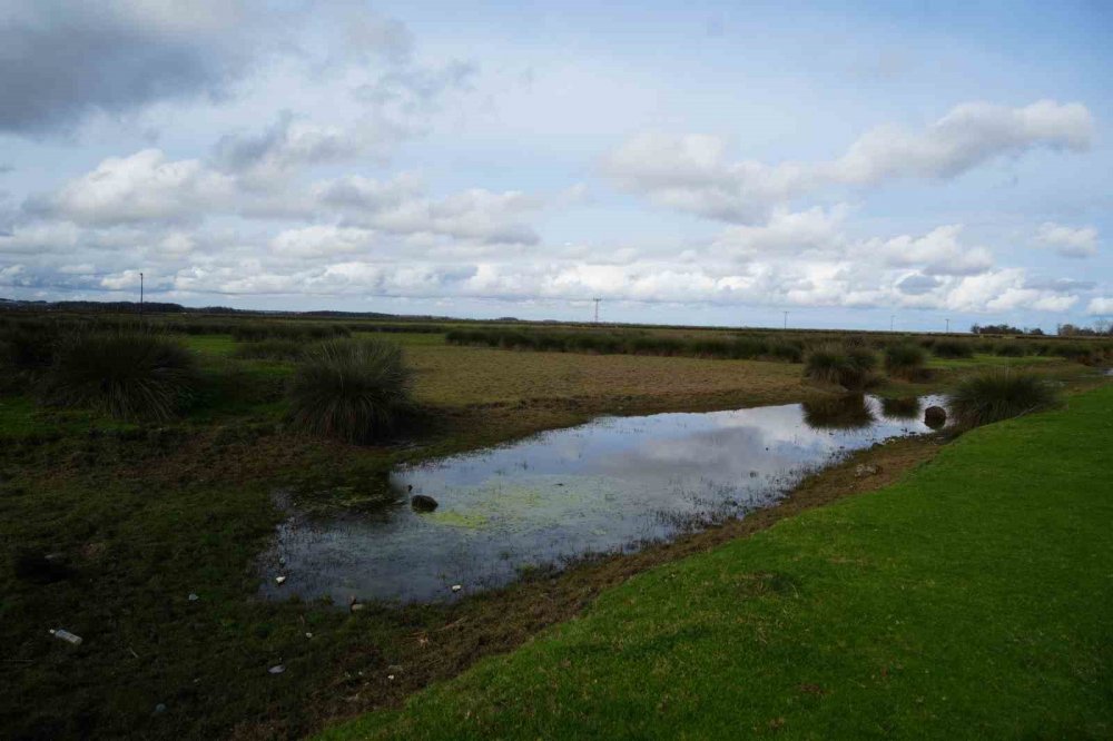 Kızılırmak Deltası’nda Yer Altı Suları Beslenemiyor: Her Yıl Su Seviyesi Düşüyor