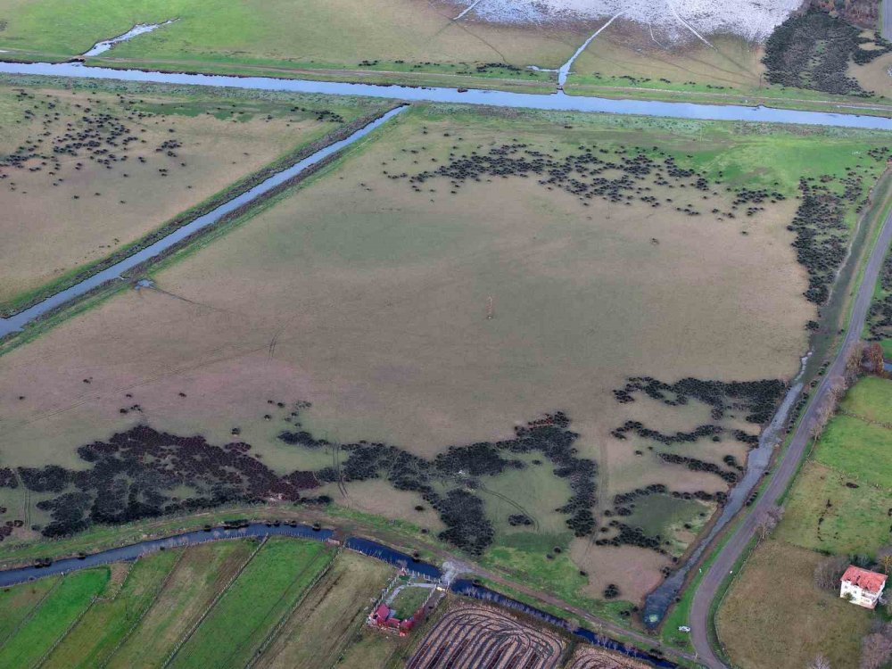 Kızılırmak Deltası’nda Yer Altı Suları Beslenemiyor: Her Yıl Su Seviyesi Düşüyor