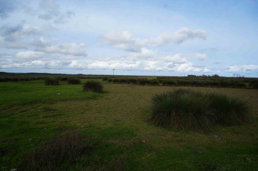 Kızılırmak Deltası’nda Yer Altı Suları Beslenemiyor: Her Yıl Su Seviyesi Düşüyor