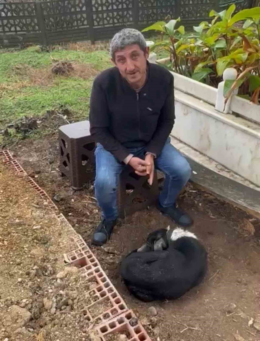 Köpeğin Vefası: Sahibinin Mezarından Ayrılmayan Köpek Duygulandırdı