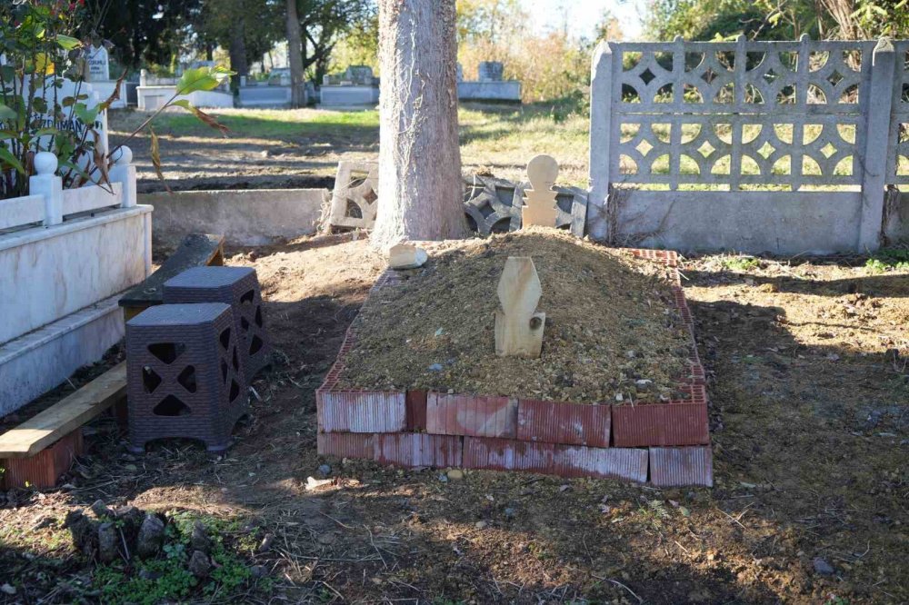 Köpeğin Vefası: Sahibinin Mezarından Ayrılmayan Köpek Duygulandırdı