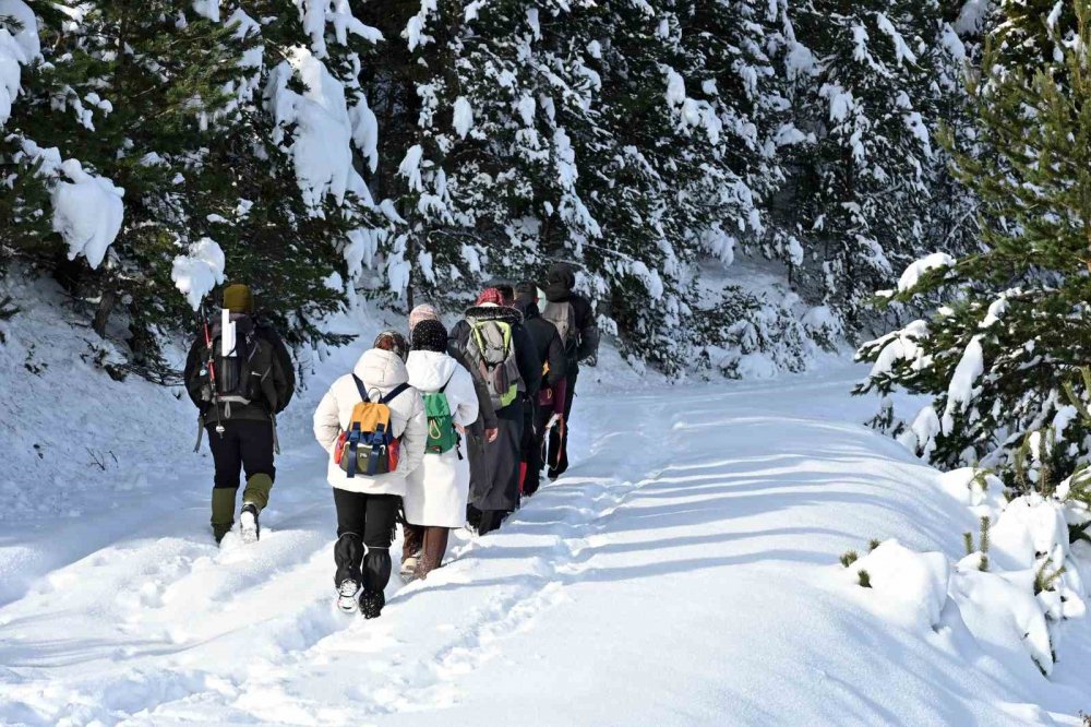 Gümüşhane’de Şehrin Gürültüsünden Kaçanlar Torul’un Zirvelerinde Buluştu