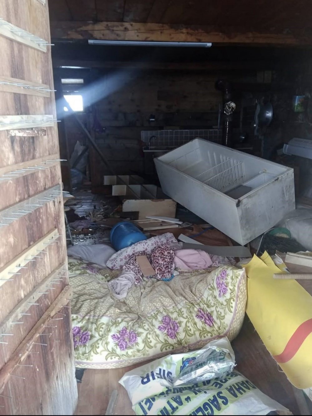 Ayılar Kış Uykusu Nedir Bilmiyor, Yayla Evlerine Saldırıları Sürüyor