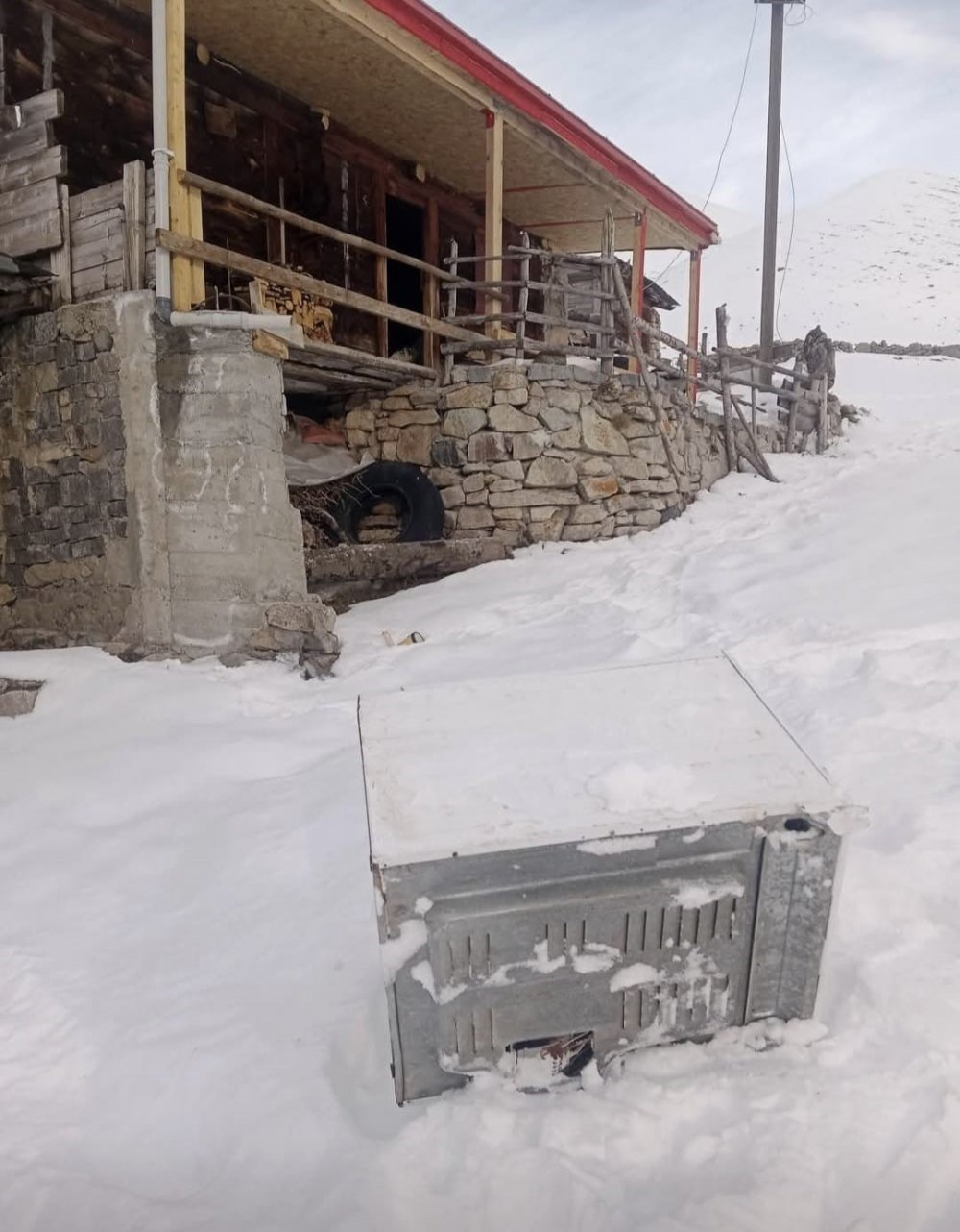 Ayılar Kış Uykusu Nedir Bilmiyor, Yayla Evlerine Saldırıları Sürüyor